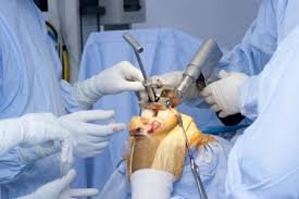 Best knee replacement surgeon in Chhindwara