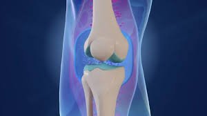 Bone and joint care in Seoni