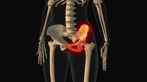 Hip arthritis surgery specialist in Harda
