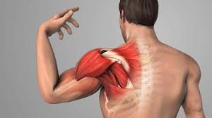 Rotator cuff tear treatment in Chhindwara