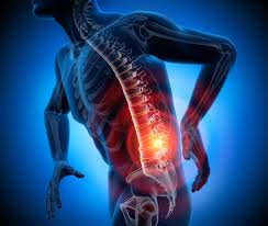 Slipped disc surgery specialist in Harda