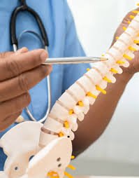 Spine surgery specialist in Harda