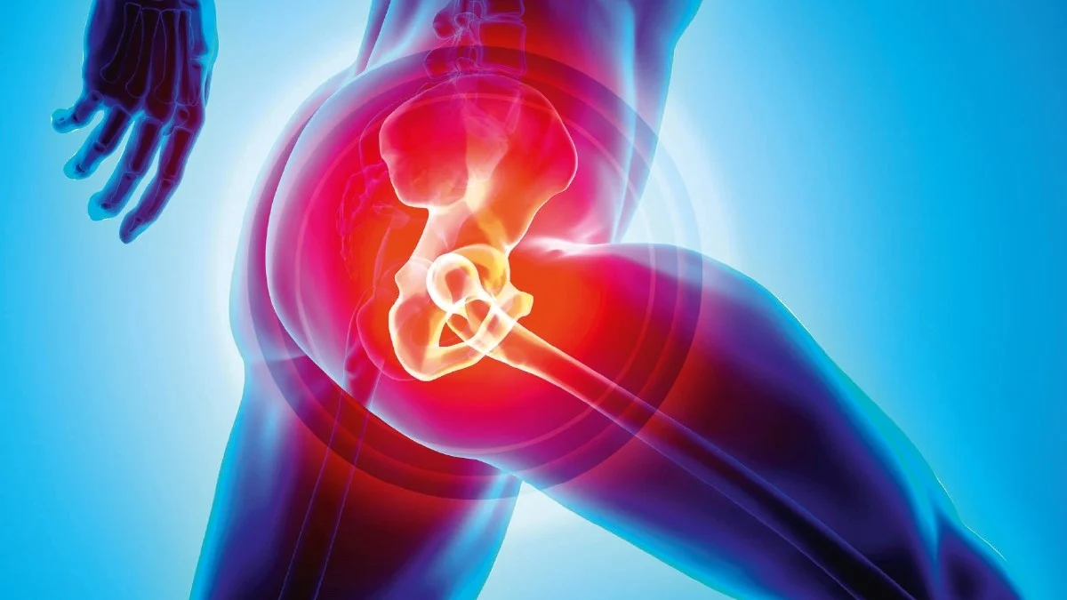 best hip replacement in jabalpur