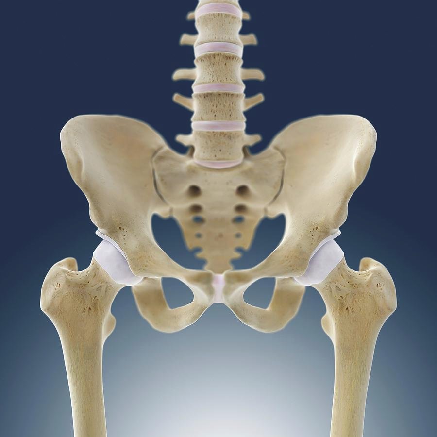 hip replacement in adilabad
