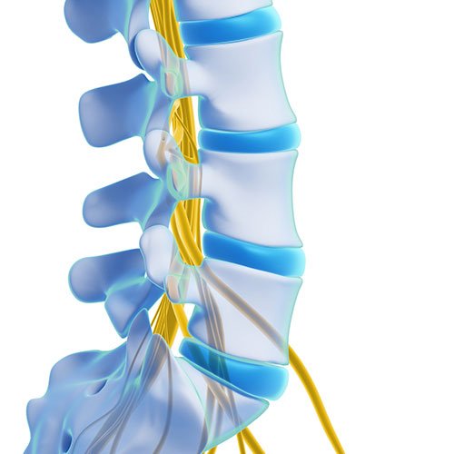 spinal cord decompression in Adilabad